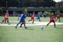 gioco1