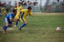 Roberto Reggi  in azione